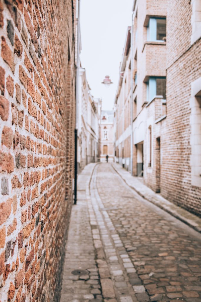 maisons de toutes les tailles Lille